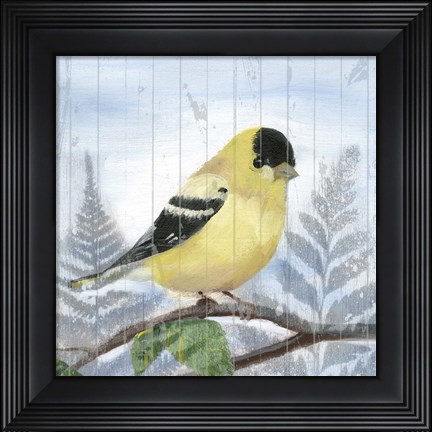 Framed Eastern Songbird III Print