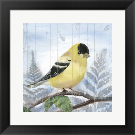 Framed Eastern Songbird III Print