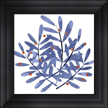 Framed Botanical Impressions II Print