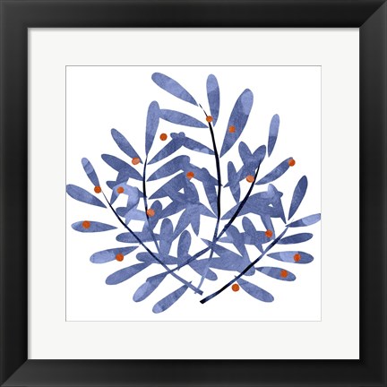 Framed Botanical Impressions II Print