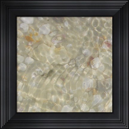 Framed Shell Squares I Print