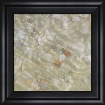 Framed Shell Squares II Print
