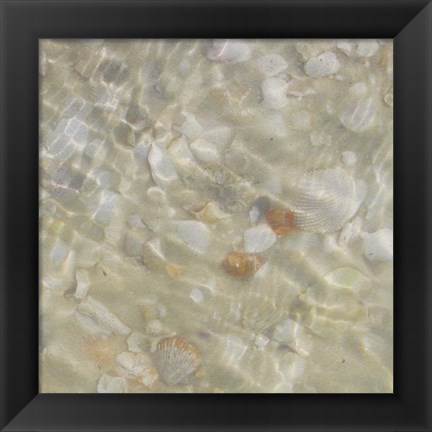 Framed Shell Squares II Print