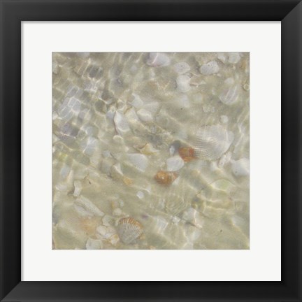 Framed Shell Squares II Print