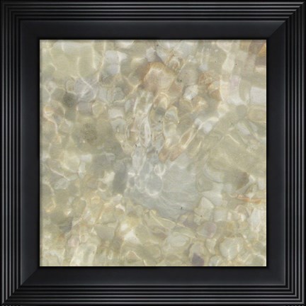 Framed Shell Squares III Print