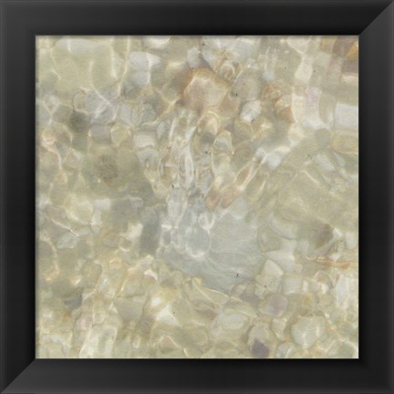 Framed Shell Squares III Print