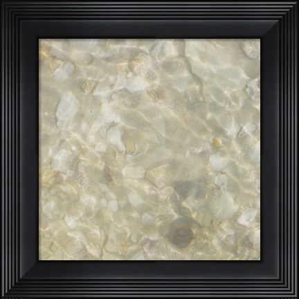 Framed Shell Squares IV Print