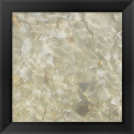 Framed Shell Squares IV Print