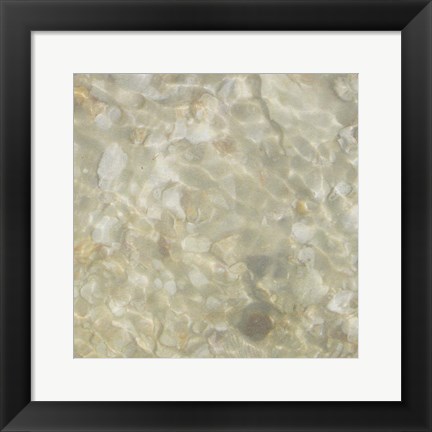 Framed Shell Squares IV Print