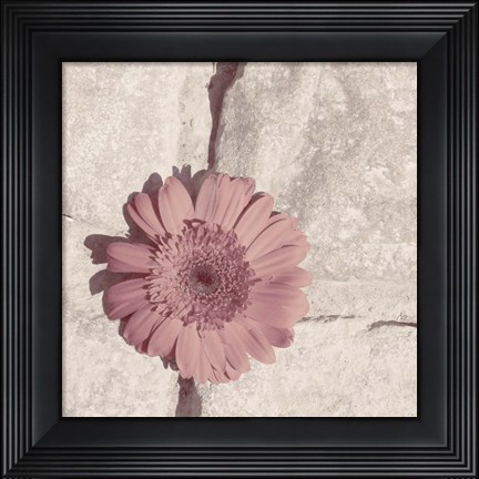 Framed Stone Blossom I Print