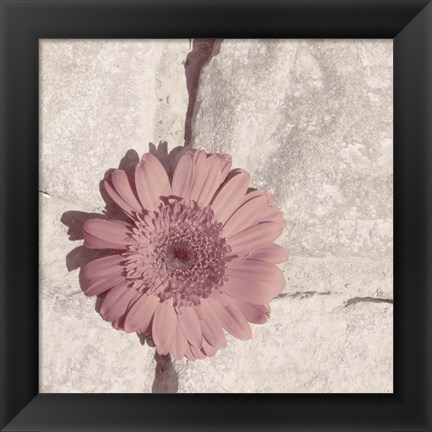 Framed Stone Blossom I Print