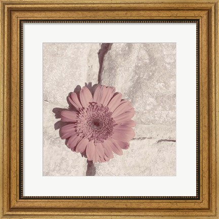 Framed Stone Blossom I Print
