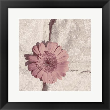 Framed Stone Blossom I Print