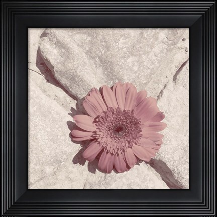 Framed Stone Blossom II Print