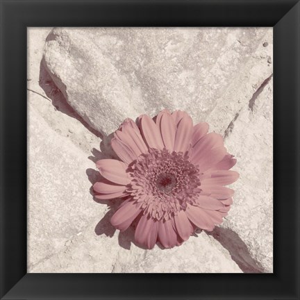 Framed Stone Blossom II Print