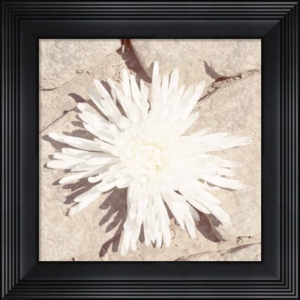 Framed Stone Blossom III Print