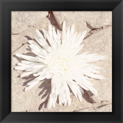 Framed Stone Blossom III Print