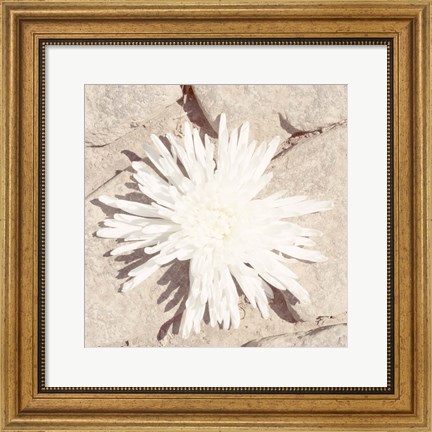 Framed Stone Blossom III Print