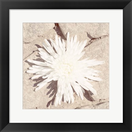 Framed Stone Blossom III Print