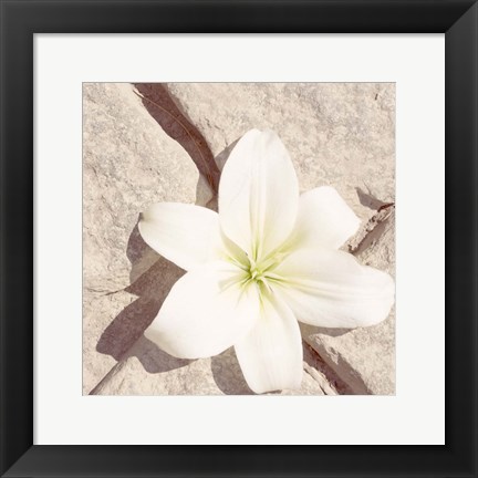 Framed Stone Blossom IV Print