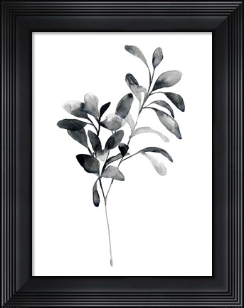 Framed Brume Botanical I Print