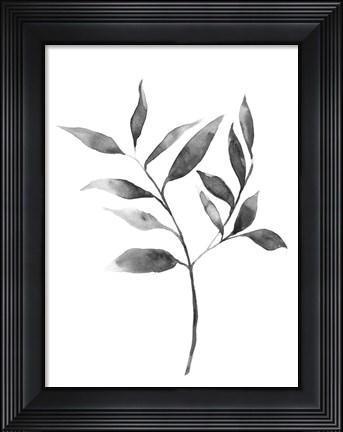 Framed Brume Botanical II Print