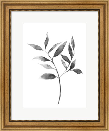 Framed Brume Botanical II Print