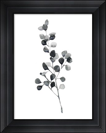 Framed Brume Botanical III Print
