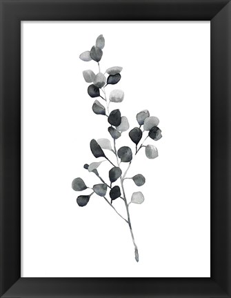 Framed Brume Botanical III Print