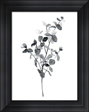 Framed Brume Botanical IV Print
