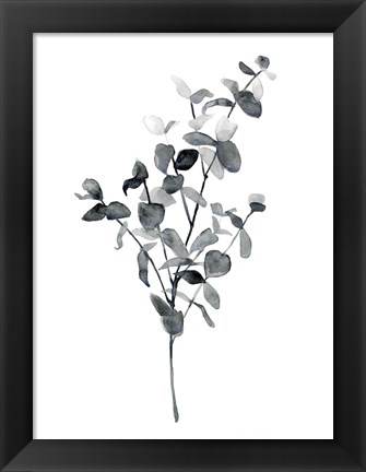 Framed Brume Botanical IV Print