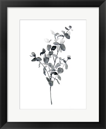 Framed Brume Botanical IV Print