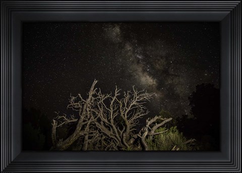 Framed Stargazer Print