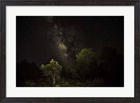 Framed Stargazer 2 Print