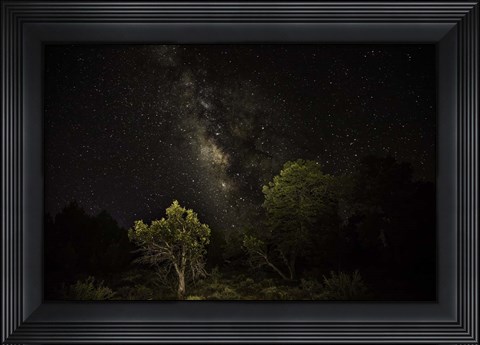 Framed Stargazer 2 Print