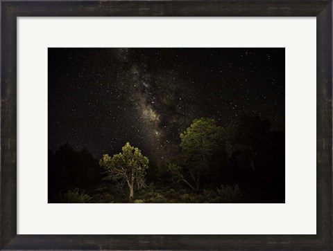 Framed Stargazer 2 Print