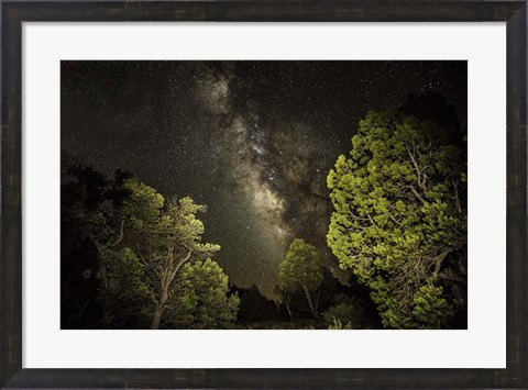 Framed Stargazer 3 Print