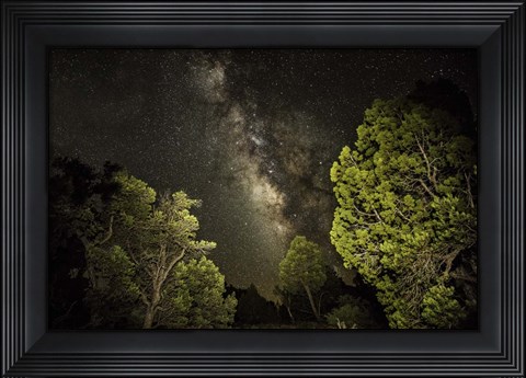 Framed Stargazer 3 Print