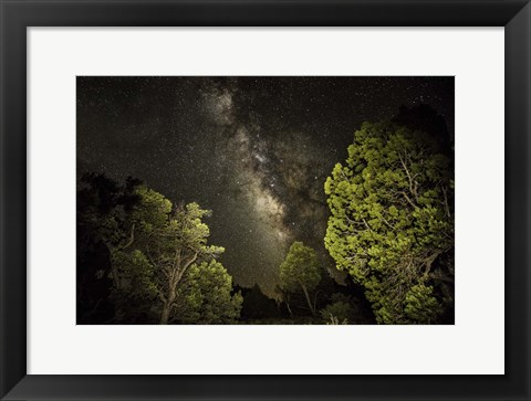 Framed Stargazer 3 Print