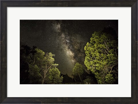 Framed Stargazer 3 Print