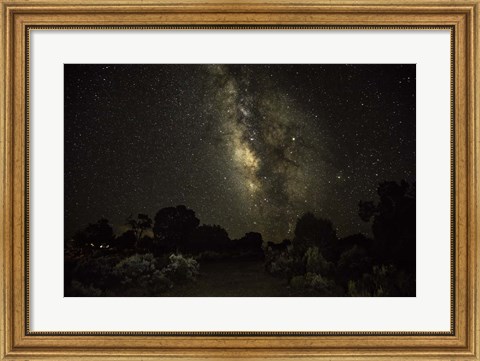 Framed Stargazer 5 Print