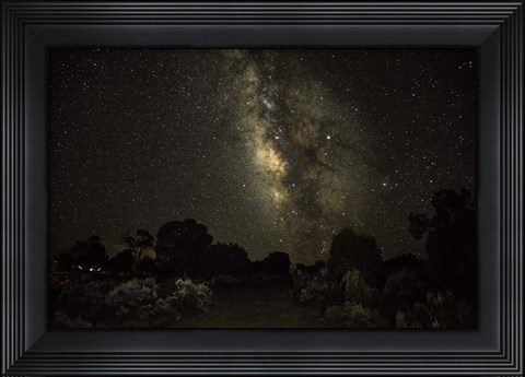 Framed Stargazer 5 Print