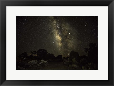 Framed Stargazer 5 Print