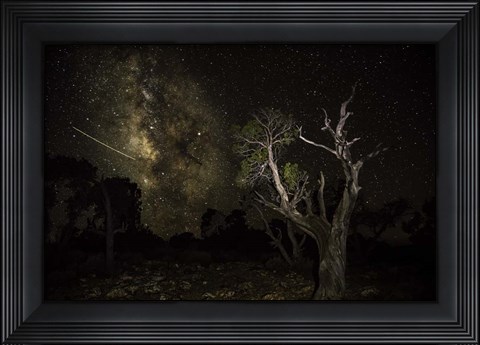 Framed Stargazer 6 Print