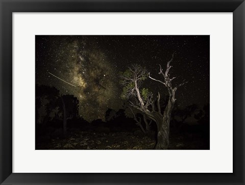 Framed Stargazer 6 Print