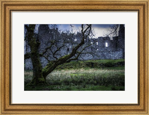 Framed Medieval Ruins 2 Print
