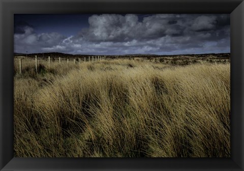 Framed High Meaddow Print