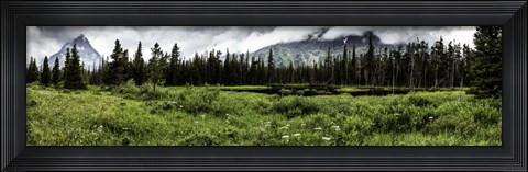 Framed Two Medicine Print