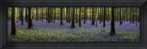 Framed Fairytale Forest Panorama Print