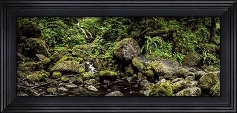 Framed Bunch Falls Print